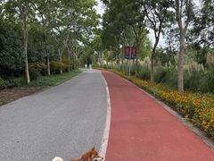 -上海长兴岛郊野公园