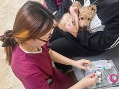 -美联众合动物医院·24h转诊中心