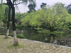 -柳浪闻莺公园