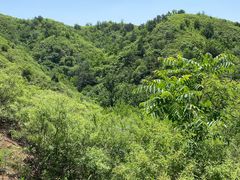-蟠龙山长城景区