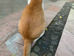-晓港公园