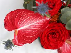 -花到家(富贵鸟花艺行)