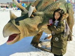 -沈阳奥体冰雪嘉年华