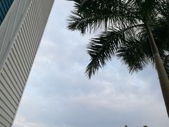 -奥林匹克体育中心游泳馆