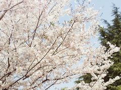 -白塘生态植物园
