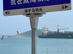 -海驴岛(荣成市)