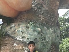 -富国岛珍珠游乐园