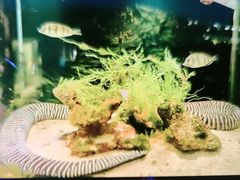 -嘉兴海底世界