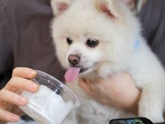 -零几体验diy皮具工作室(振业城店)