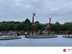 -北京野生动物园