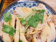 -九斤黄三黄鸡专卖店