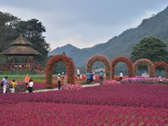 -广州市石门国家森林公园