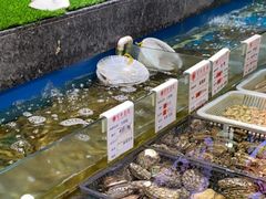 -宝燕壹号(徐汇店)