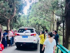 -南岳衡山风景名胜区