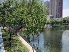 -洈水谣 · 地道荆州松滋菜(菱角湖公园店)