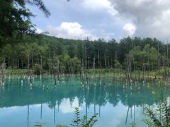 -青池