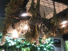 大堂-森味薪火烧•烧鸟居酒屋•日本料理(望京店)