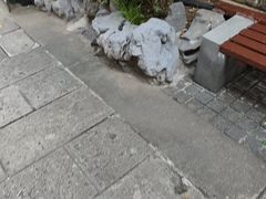 -南京市民俗博物馆(甘熙故居)