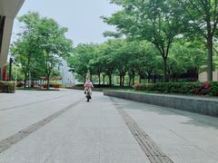 -活水公园