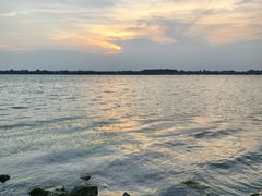 -丁香湖公园
