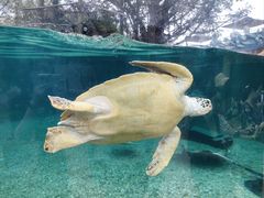 -广州海洋馆