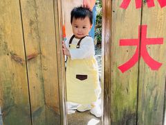 -九龙江国家森林公园