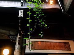 -普洱茶府(博乐广场店)