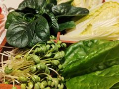 -蒙都43°9羊火锅·赤峰美食(宁城店)