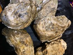 -烧蠔帮·湛江生蚝(工农店)