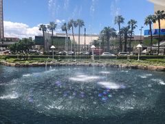 -拉斯维加斯永利酒店