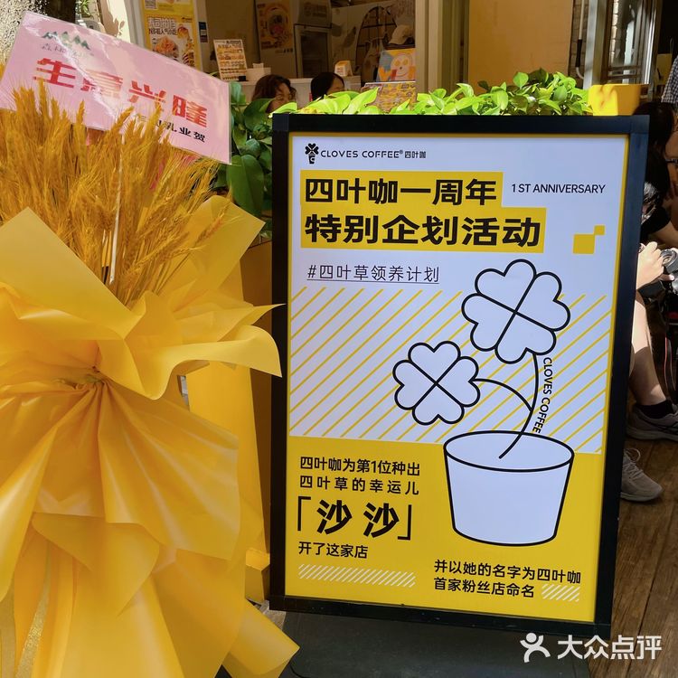 云南本土咖啡｜宠粉也太霸气了吧