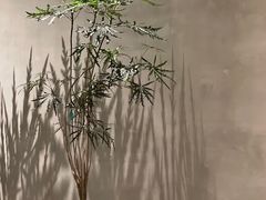 -二酉书店TOYOU BOOKS