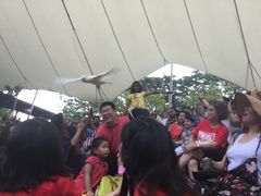-新加坡飞禽公园