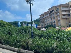 -平湖九龙山旅游度假区