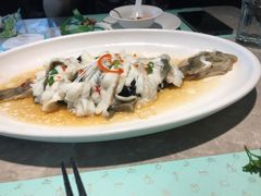 -大树餐厅(红旗街万达店)