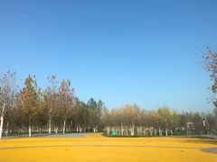 -万隆大胡同商业中心