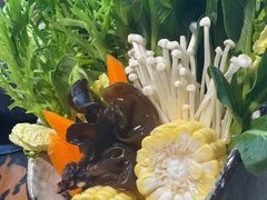 -田园肥牛府(东关街店)