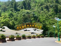 -西双版纳原始森林公园