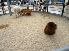 -洛阳龙门海洋馆