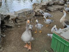 -北京市海淀外国语实验学校