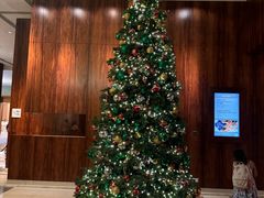 -香港尖沙咀凯悦酒店