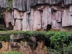 -长鹿旅游休博园