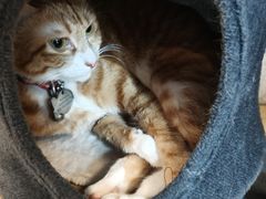 -逃脱反斗城沉浸剧情密室(北京路店)