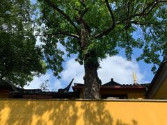 -白马涧龙池景区