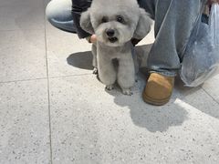 -FAELING PETS美天灵宠物(富力广场店)