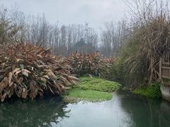 -桤木河湿地公园