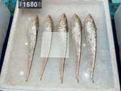 -莆鑫海鲜城(浏河店)