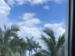 -粤菜王府·海鲜·茶市·海景餐厅(大梅沙店)