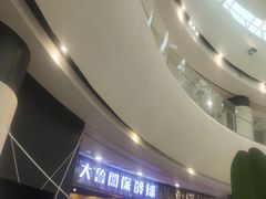 -大鲁阁保龄球(苏州园区店)