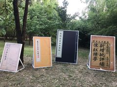 -红楼梦邮局